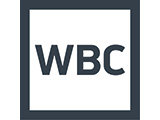 World Business Channel